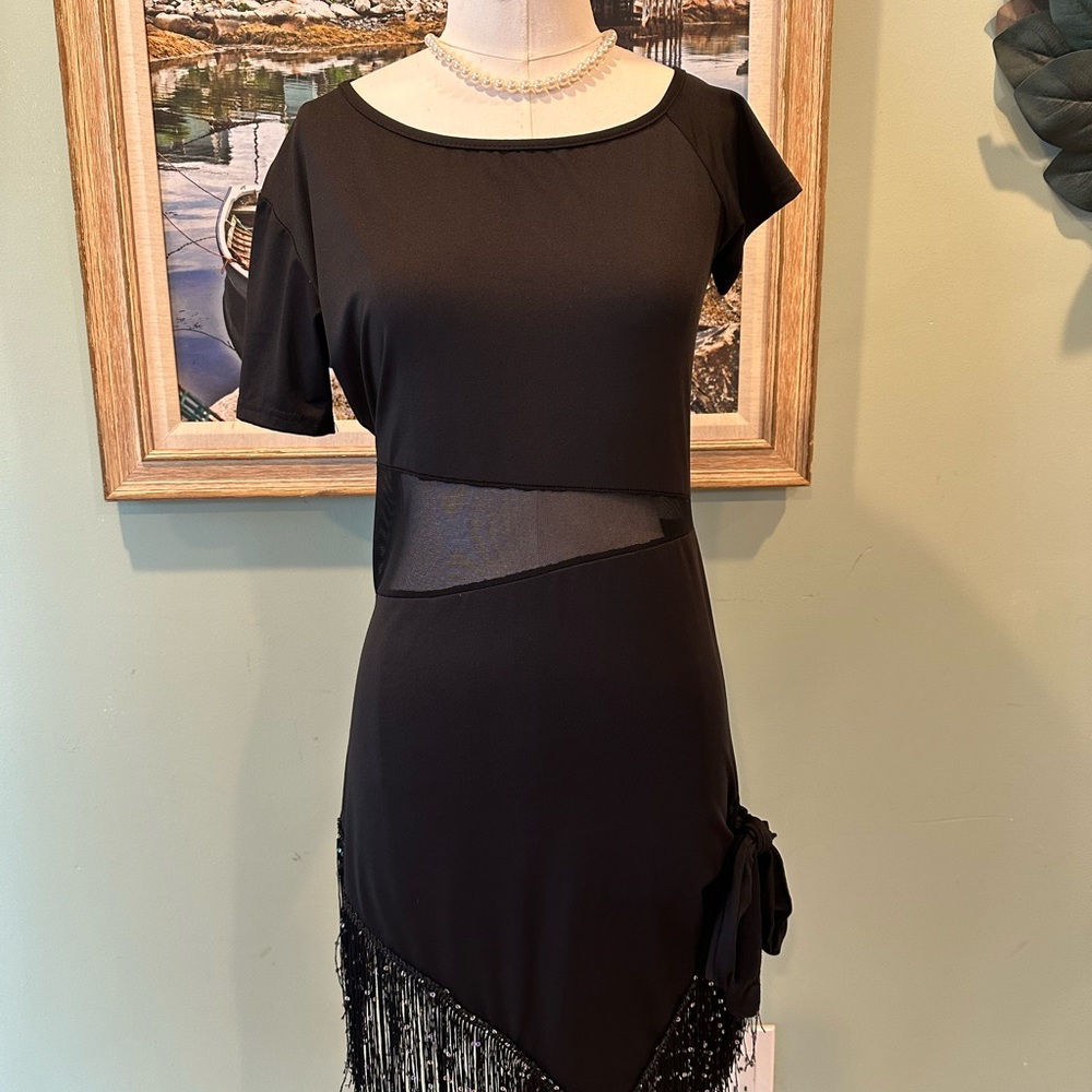 Latin Elegant Black Fringe Dress